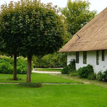 Haus Quitte Holiday home *