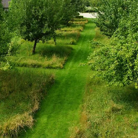Haus Quitte Holiday home *